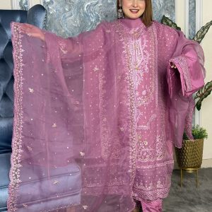 NEW Arraivals Premium Quality Pakistani Pure Organza Unstitched Party
